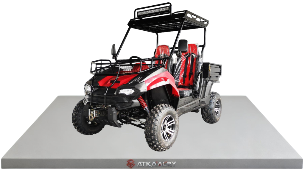 Dune Buggy 300cc Side-by-side 200cc UTV Aodes