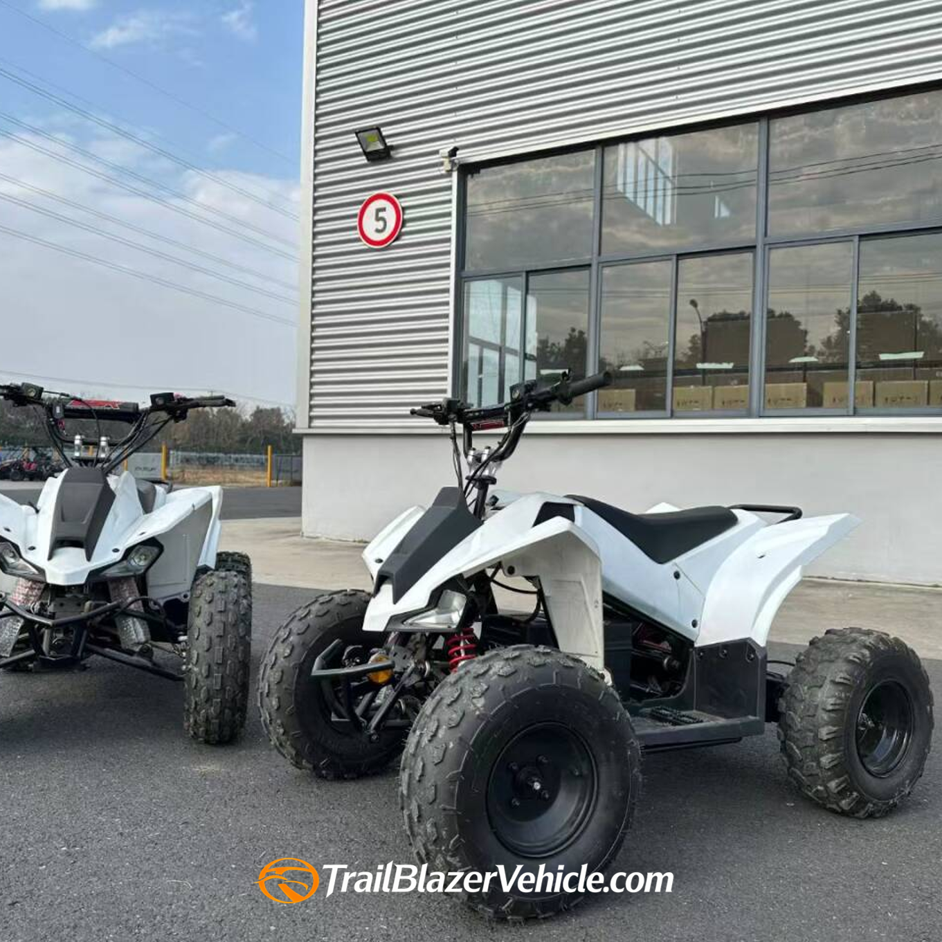 Electric ATV Mini Quads Kids' Quadbike