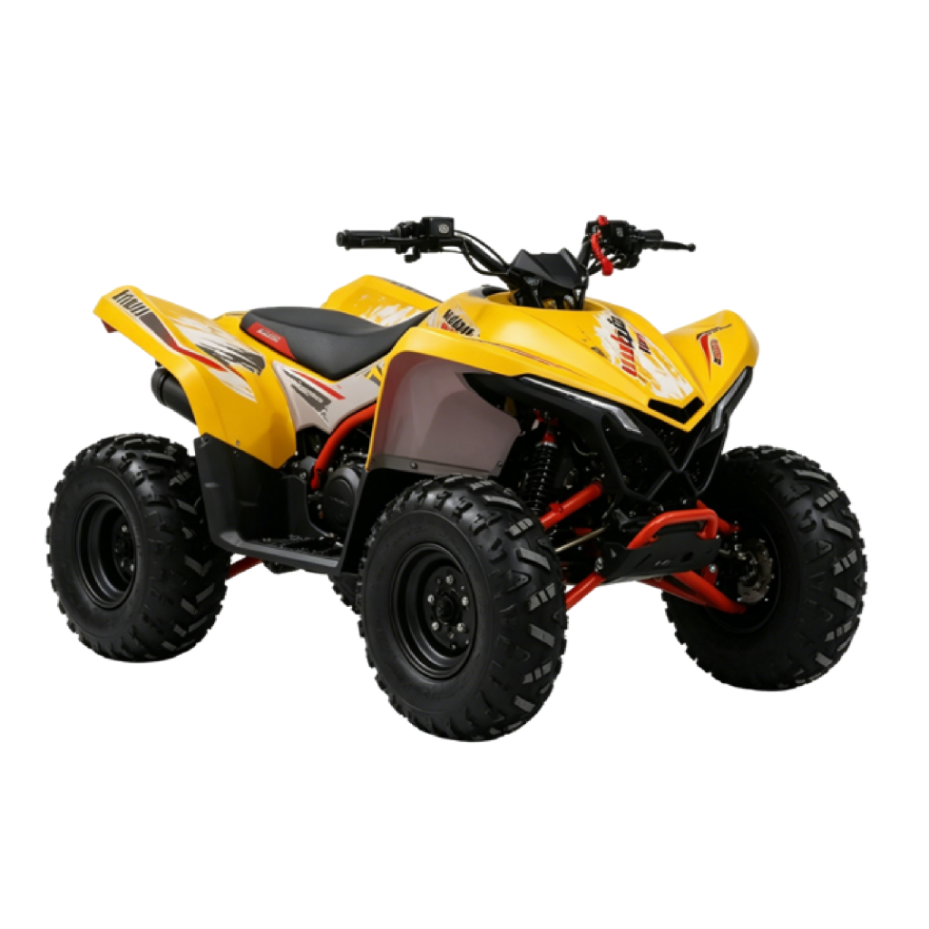 110cc Sport Quadbike Kids ATV China Factory Chinese Supplier