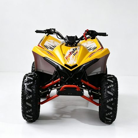 110cc Sport Quadbike Kids ATV China Factory Chinese Supplier